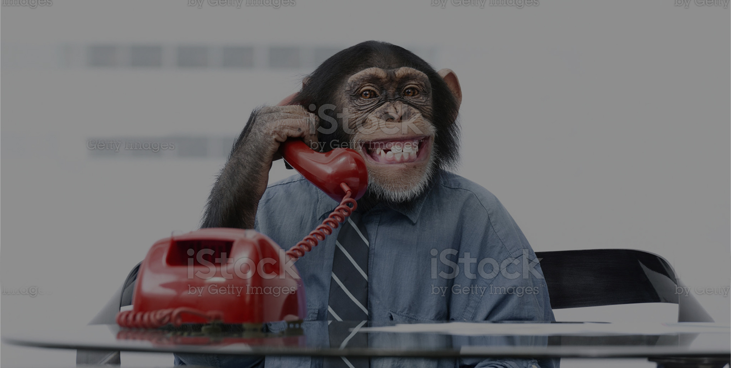 Contact