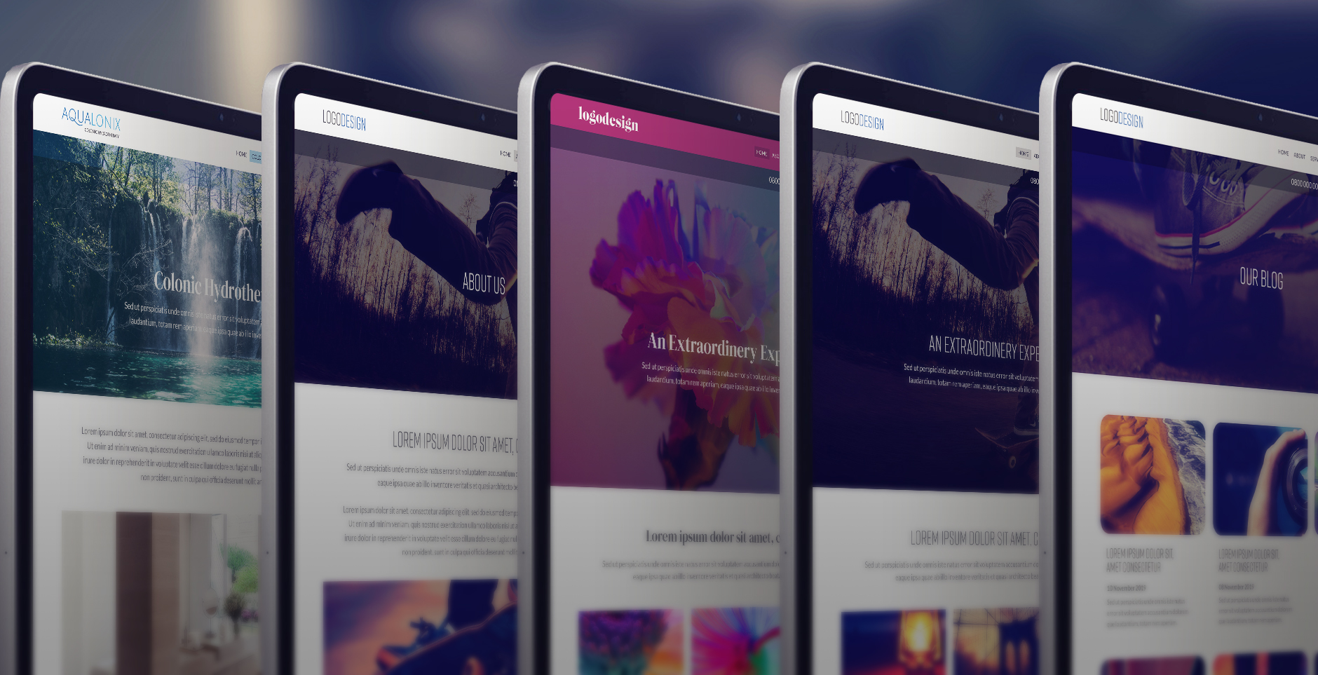 Case Studies